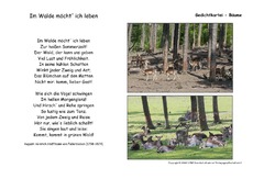 Im Walde möcht' ich leben-Fallersleben.pdf